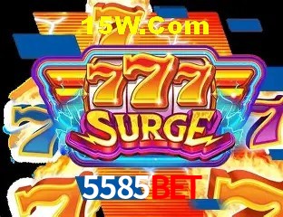 Recursos de Bônus 5585Bet